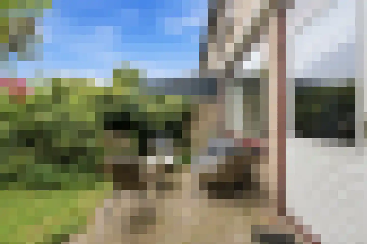 Halfweg 5 Hendrik-Ido-Ambacht thumbnail 31