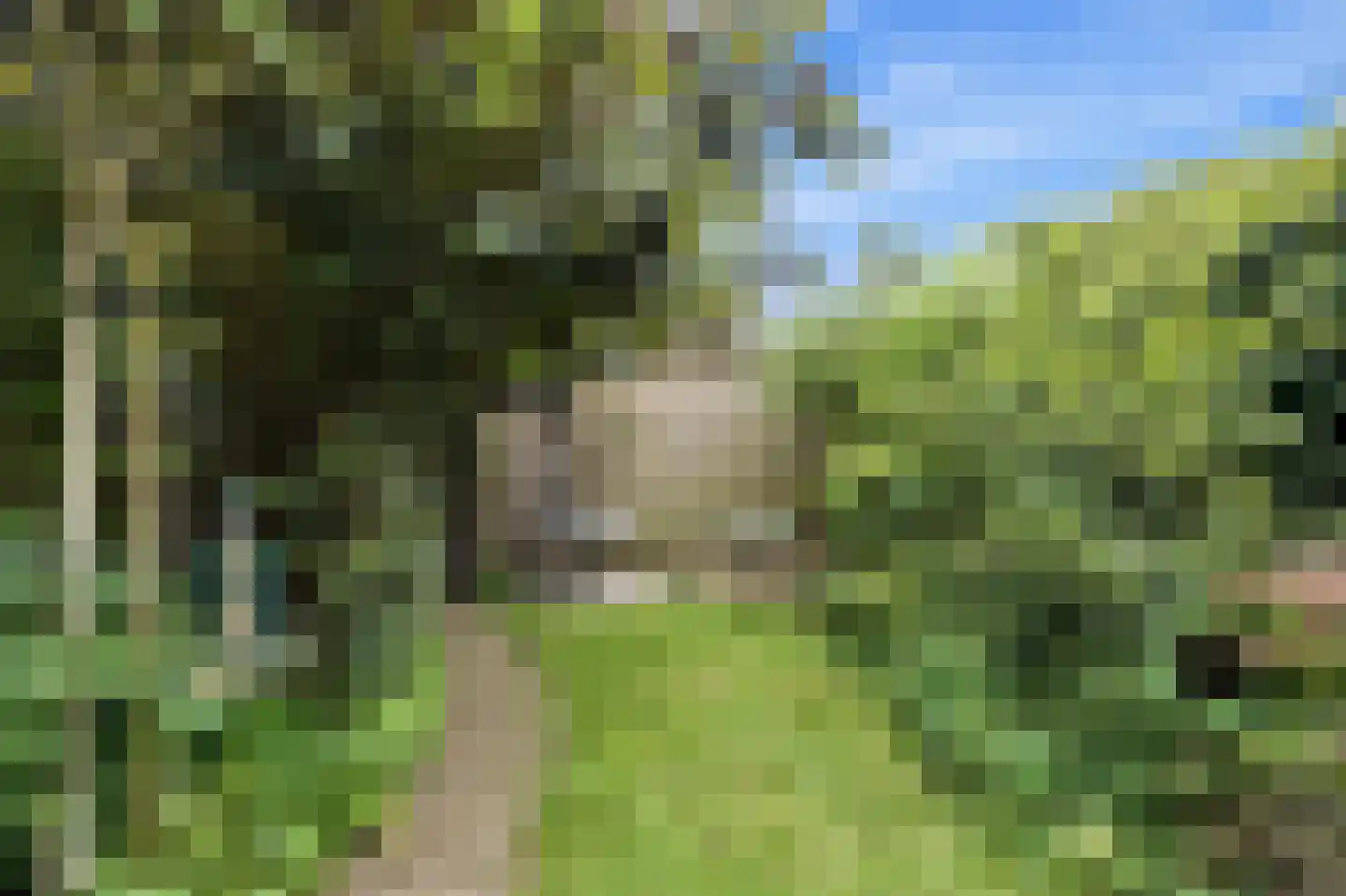Halfweg 5 Hendrik-Ido-Ambacht thumbnail 32