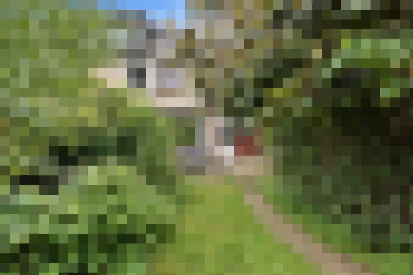 Halfweg 5 Hendrik-Ido-Ambacht thumbnail 33