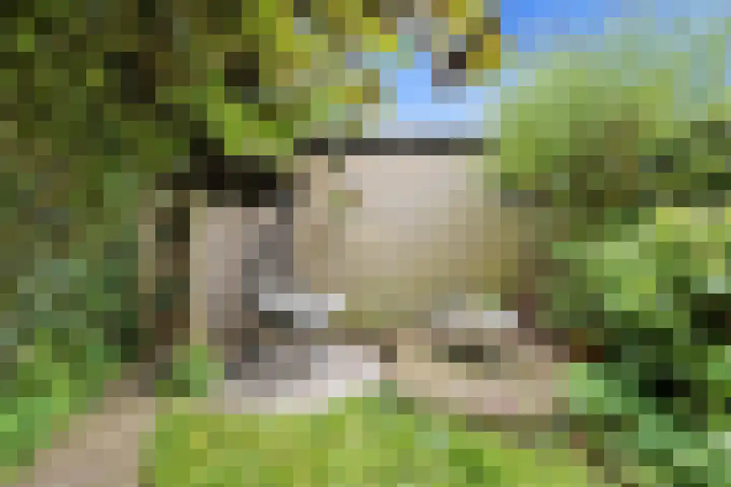 Halfweg 5 Hendrik-Ido-Ambacht thumbnail 35