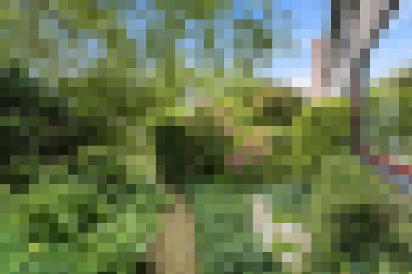 Halfweg 5 Hendrik-Ido-Ambacht thumbnail 36