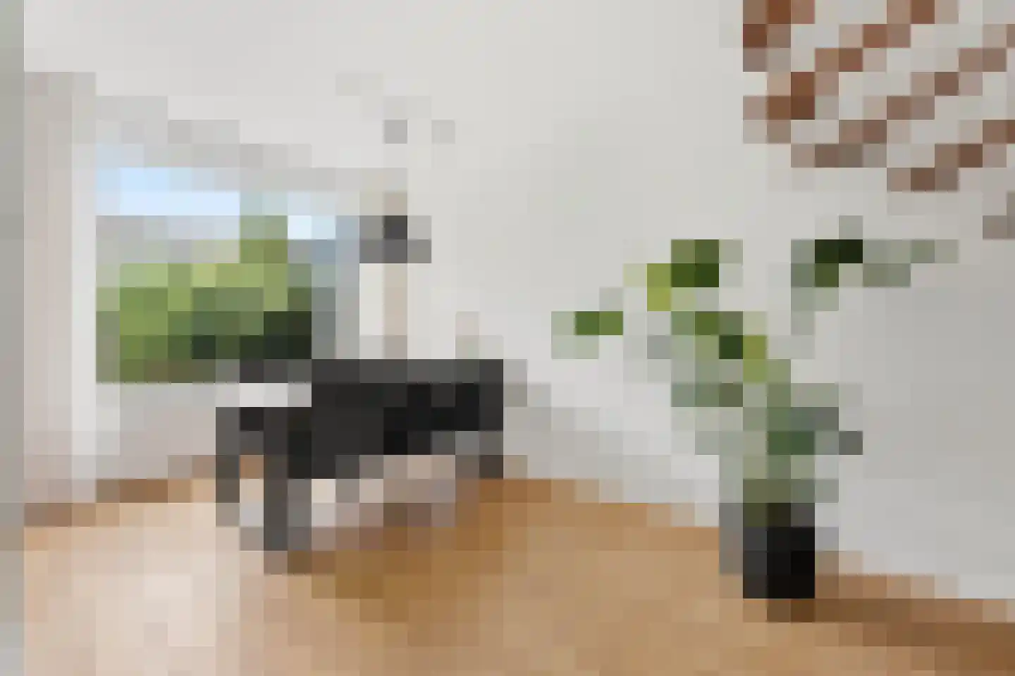 Halfweg 5 Hendrik-Ido-Ambacht thumbnail 9
