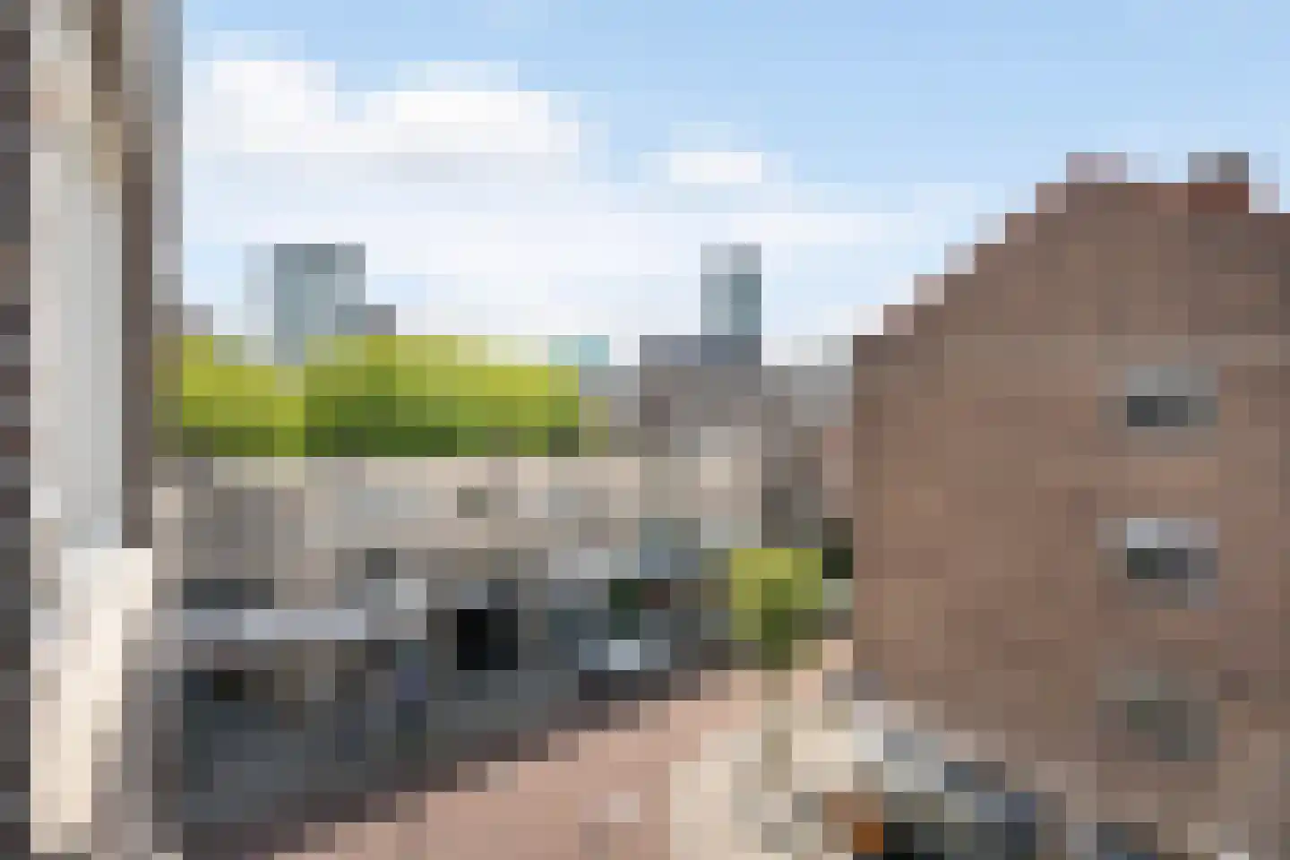 Halhof 12 D Rotterdam thumbnail 29