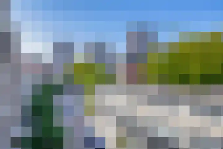 Halhof 40 D Rotterdam thumbnail 14