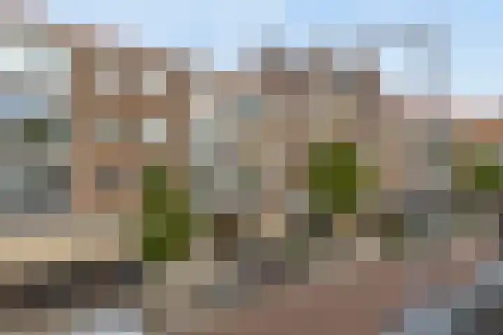 Halhof 42 B Rotterdam thumbnail 21