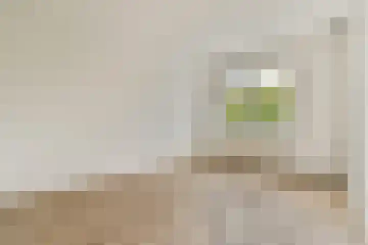 Halhof 44 D Rotterdam thumbnail 11
