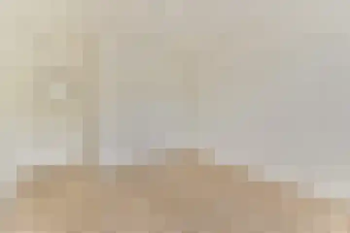 Halhof 44 D Rotterdam thumbnail 12