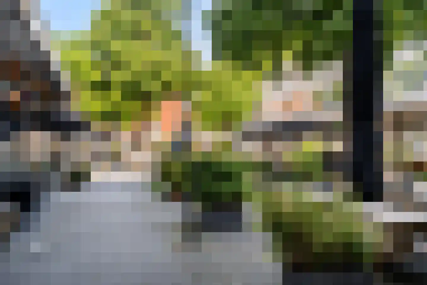Halhof 50 C Rotterdam thumbnail 19
