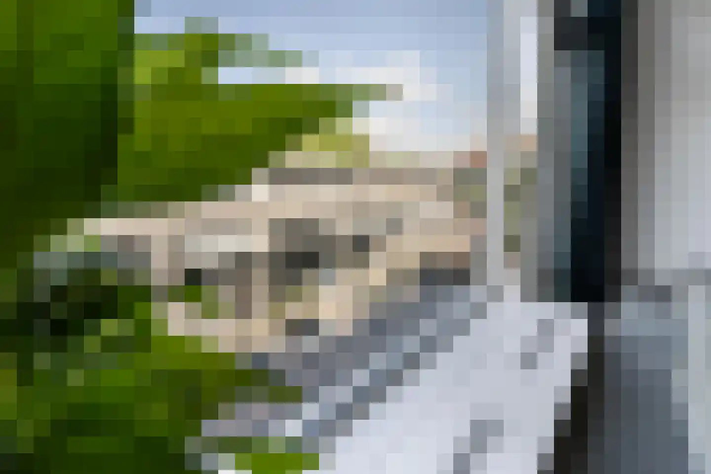 Halhof 50 C Rotterdam thumbnail 6