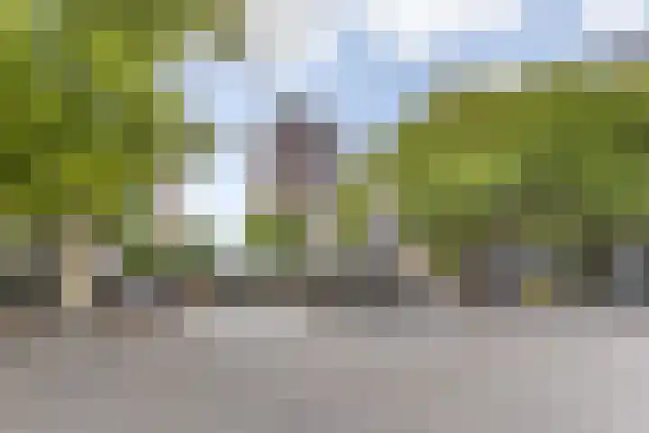 Halhof 54 C Rotterdam thumbnail 22