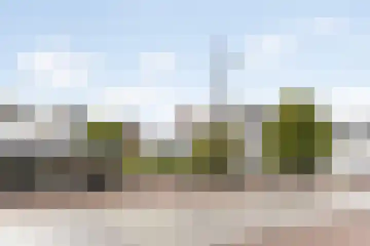 Halhof 54 C Rotterdam thumbnail 23