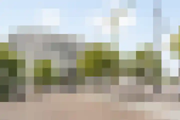 Halhof 54 C Rotterdam thumbnail 26