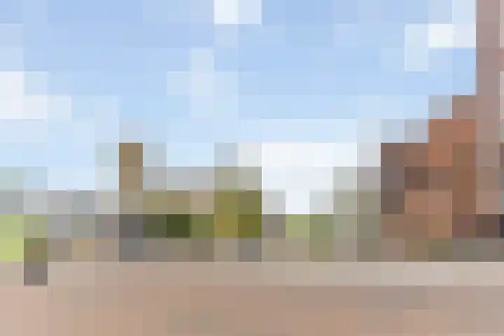 Halhof 54 C Rotterdam thumbnail 27