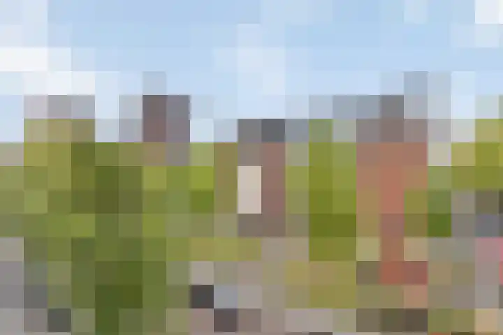 Halhof 54 C Rotterdam thumbnail 9