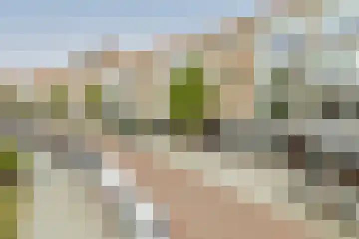 Halhof 54 D Rotterdam thumbnail 21