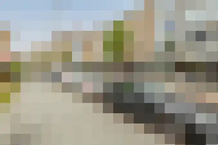 Halhof 54 D Rotterdam thumbnail 23