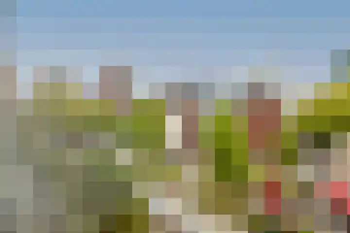 Halhof 54 D Rotterdam thumbnail 4