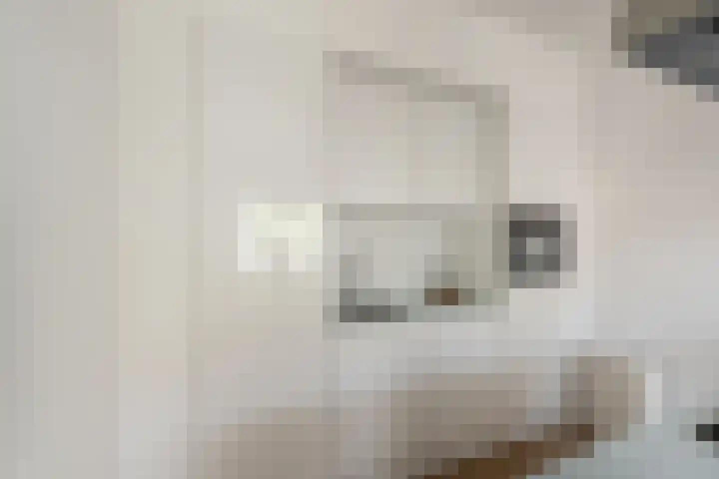 Halhof 60 C Rotterdam thumbnail 11