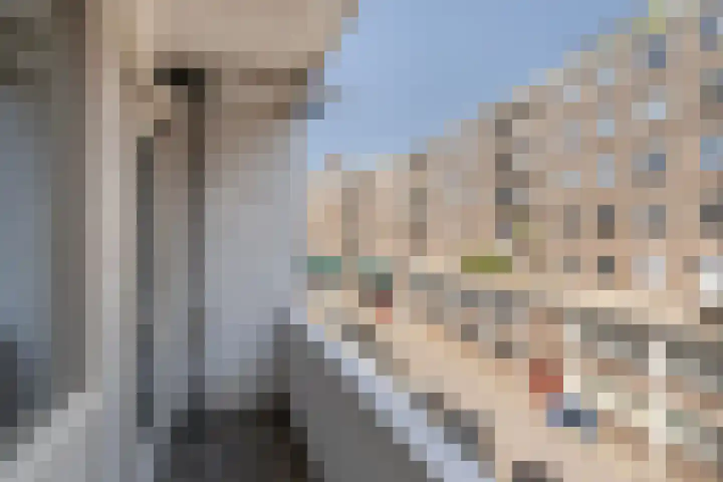 Halhof 60 C Rotterdam thumbnail 19
