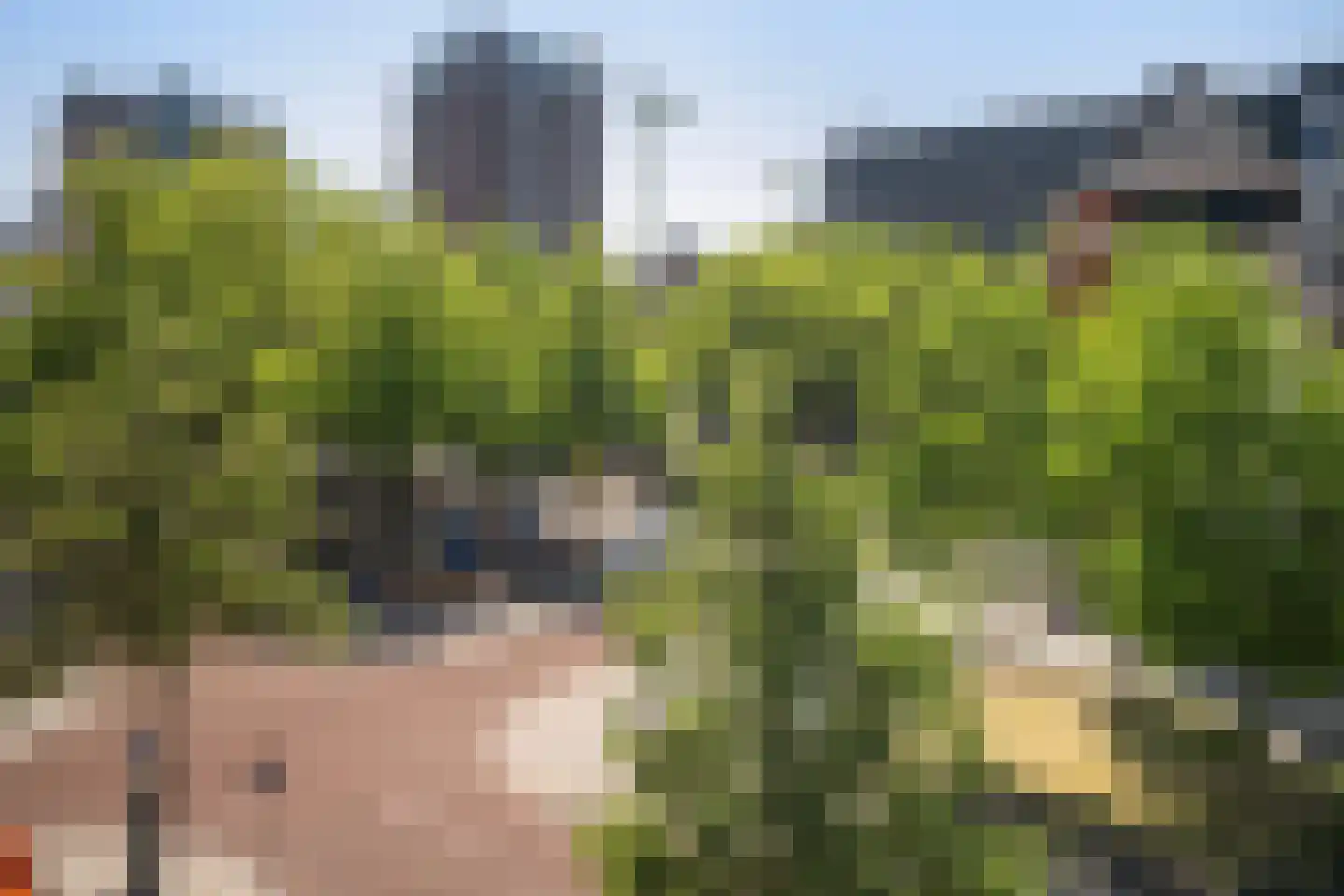 Halhof 60 C Rotterdam thumbnail 9