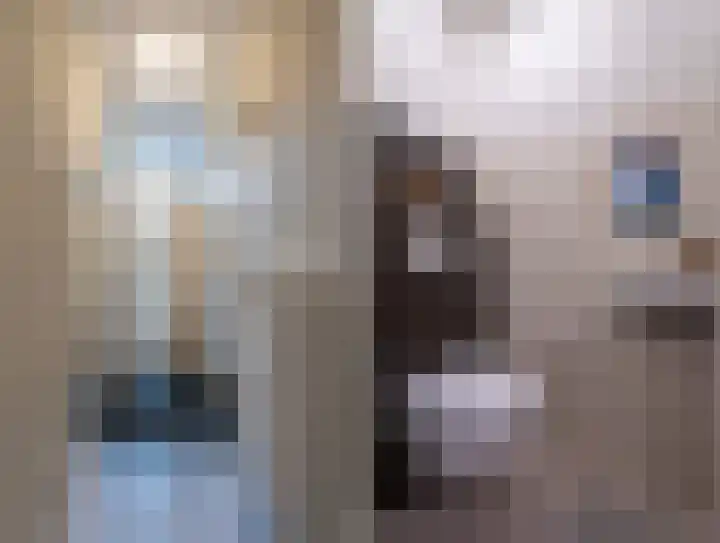 Hallant 13 Hoogvliet Rotterdam thumbnail 12