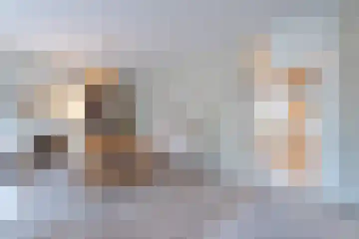 Hallant 13 Hoogvliet Rotterdam thumbnail 20