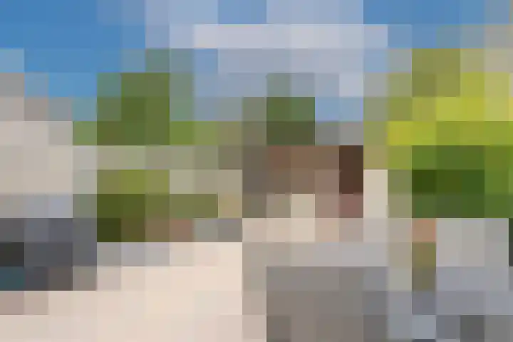 Hallant 13 Hoogvliet Rotterdam thumbnail 22