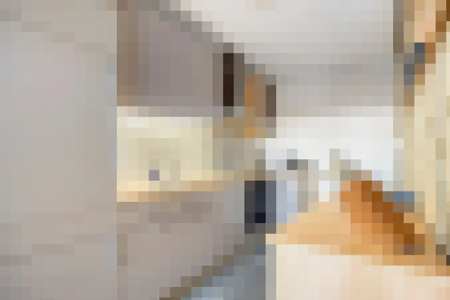 Hallant 18 Hoogvliet Rotterdam thumbnail 10