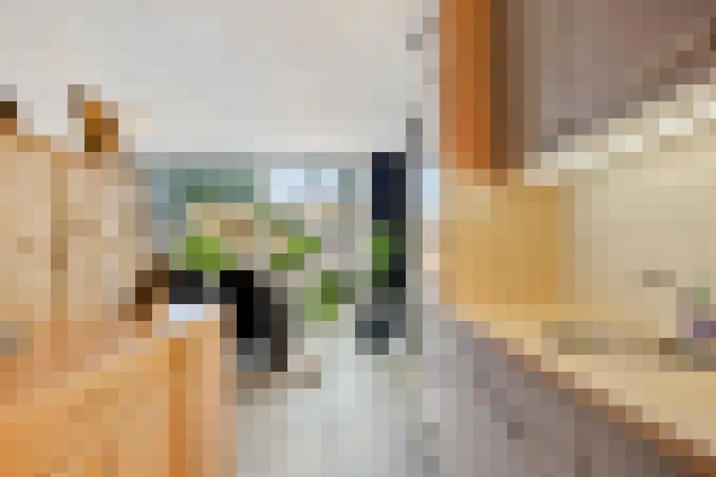 Hallant 18 Hoogvliet Rotterdam thumbnail 11