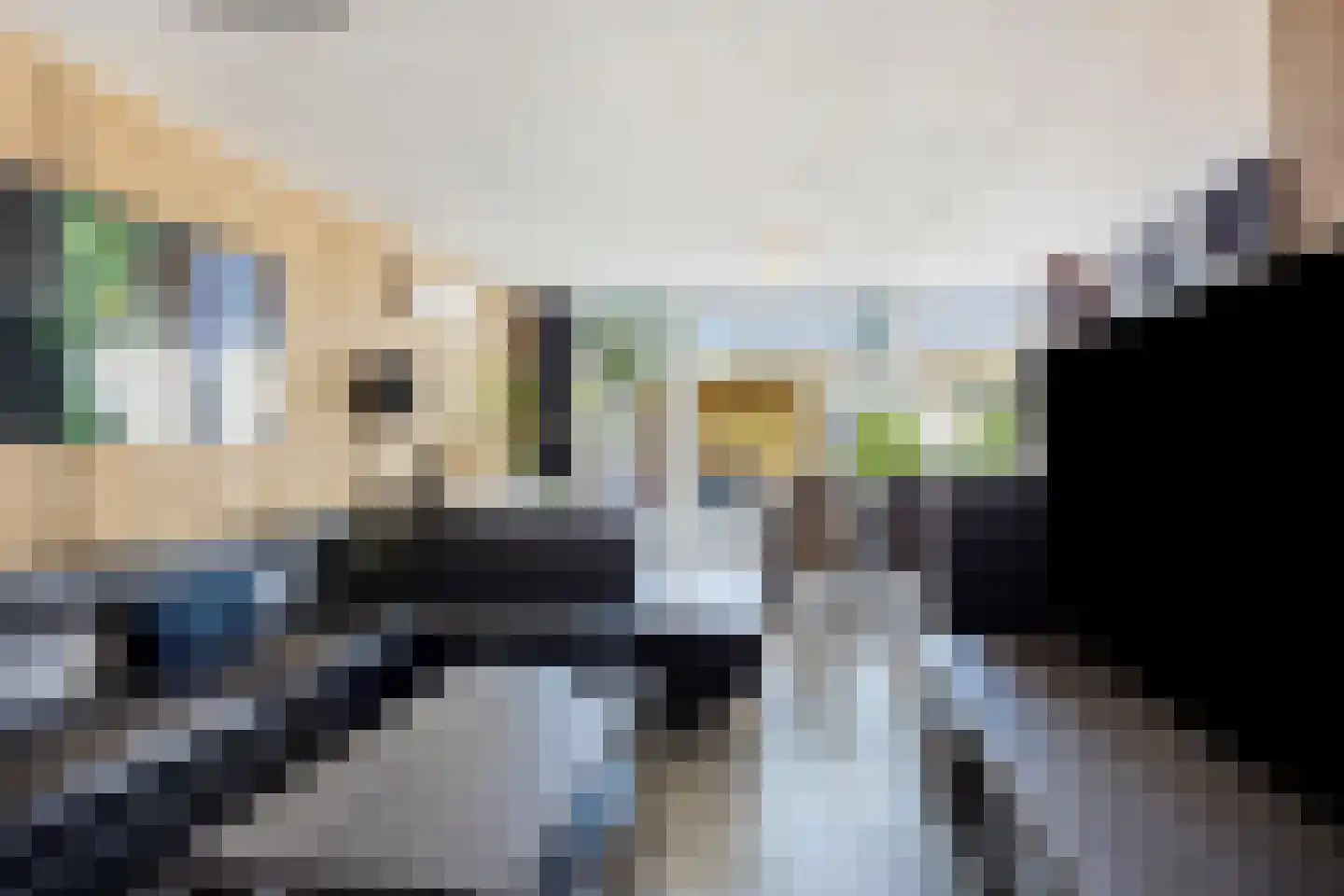 Hallant 18 Hoogvliet Rotterdam thumbnail 4