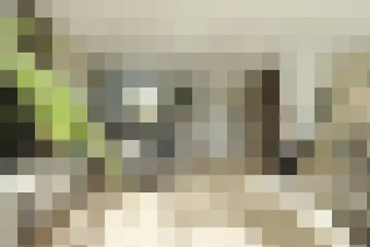 Hallant 19 Hoogvliet Rotterdam thumbnail 10