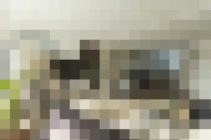 Hallant 19 Hoogvliet Rotterdam thumbnail 11