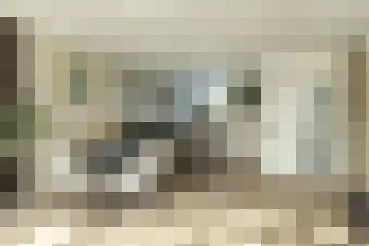 Hallant 19 Hoogvliet Rotterdam thumbnail 12