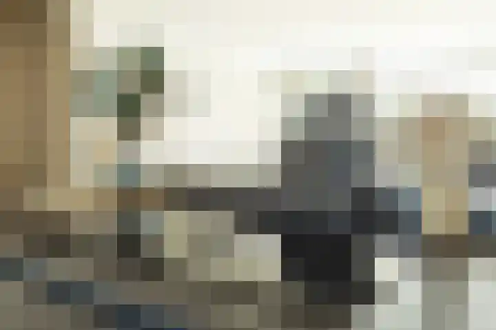 Hallant 19 Hoogvliet Rotterdam thumbnail 14