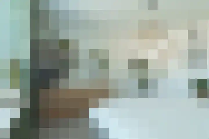 Hallant 19 Hoogvliet Rotterdam thumbnail 21