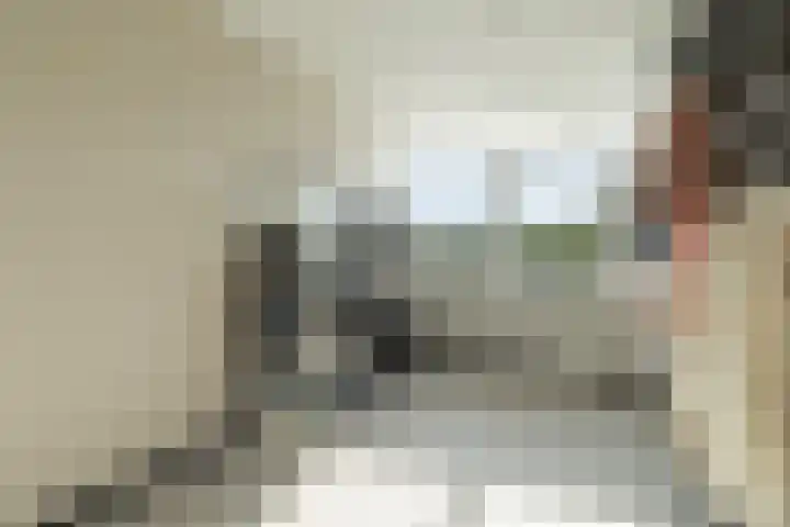 Hallant 19 Hoogvliet Rotterdam thumbnail 22