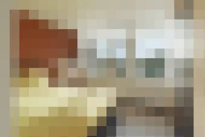 Hallant 19 Hoogvliet Rotterdam thumbnail 24