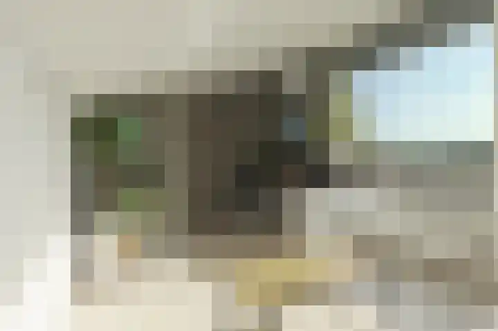 Hallant 19 Hoogvliet Rotterdam thumbnail 30