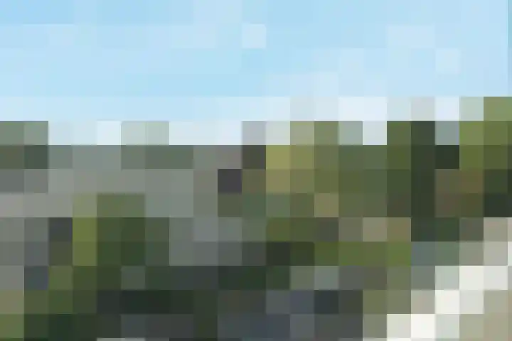 Hallant 19 Hoogvliet Rotterdam thumbnail 33
