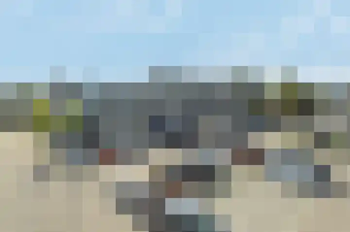 Hallant 19 Hoogvliet Rotterdam thumbnail 35