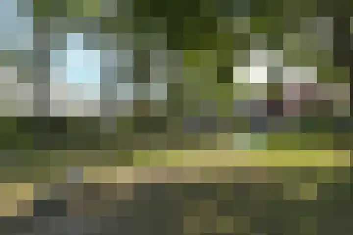 Hallant 19 Hoogvliet Rotterdam thumbnail 5