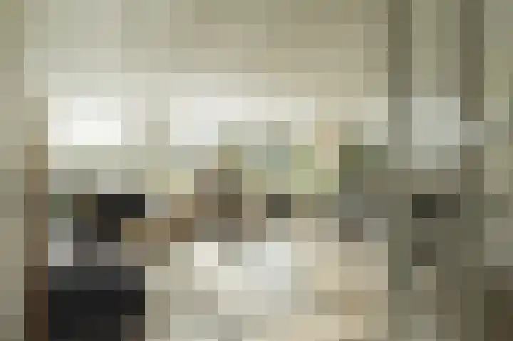 Hallant 19 Hoogvliet Rotterdam thumbnail 8
