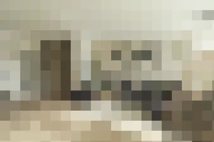Hallant 19 Hoogvliet Rotterdam thumbnail 9