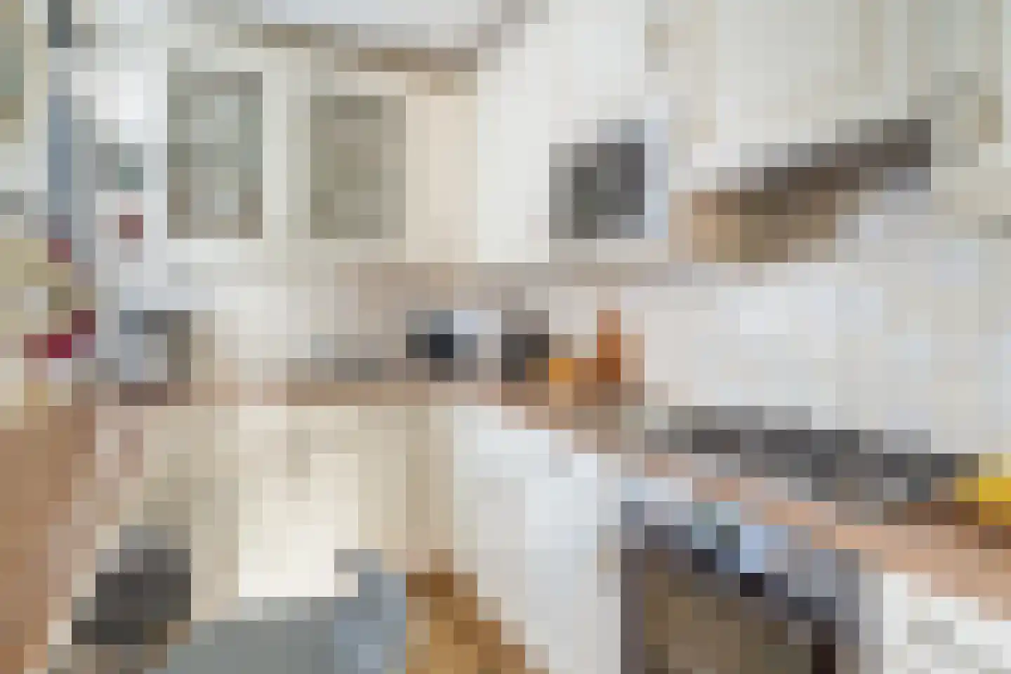 Hallant 21 Hoogvliet Rotterdam thumbnail 16
