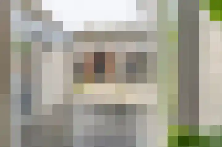 Hallehuis 14 Hardinxveld-Giessendam thumbnail 12