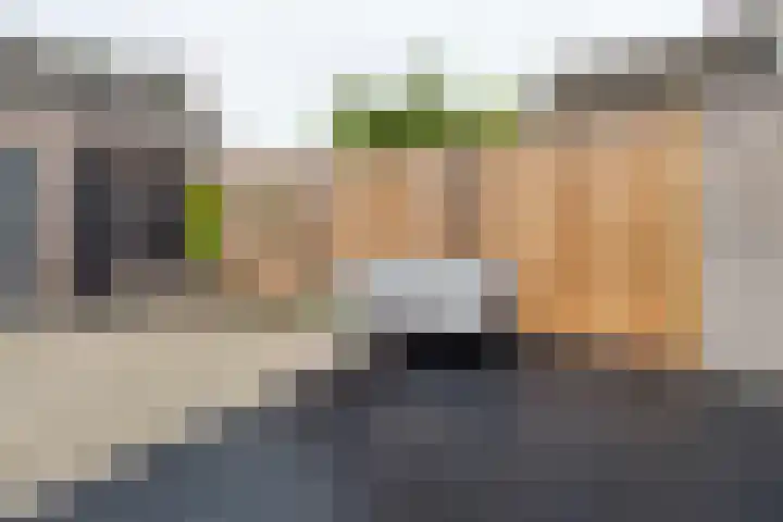 Hallehuis 14 Hardinxveld-Giessendam thumbnail 13