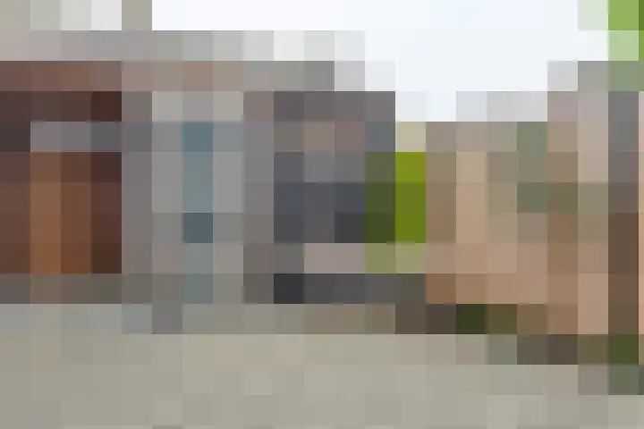 Hallehuis 14 Hardinxveld-Giessendam thumbnail 14