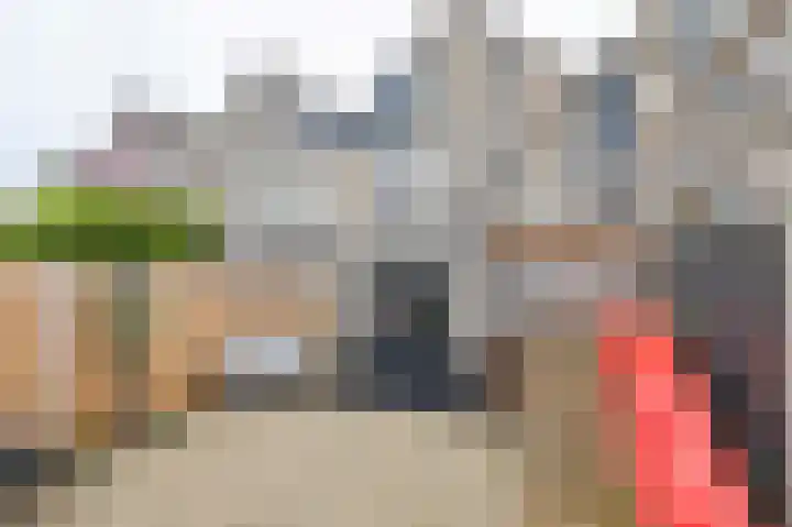 Hallehuis 14 Hardinxveld-Giessendam thumbnail 15