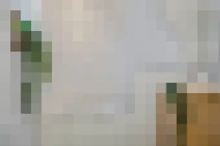 Hallehuis 14 Hardinxveld-Giessendam thumbnail 25