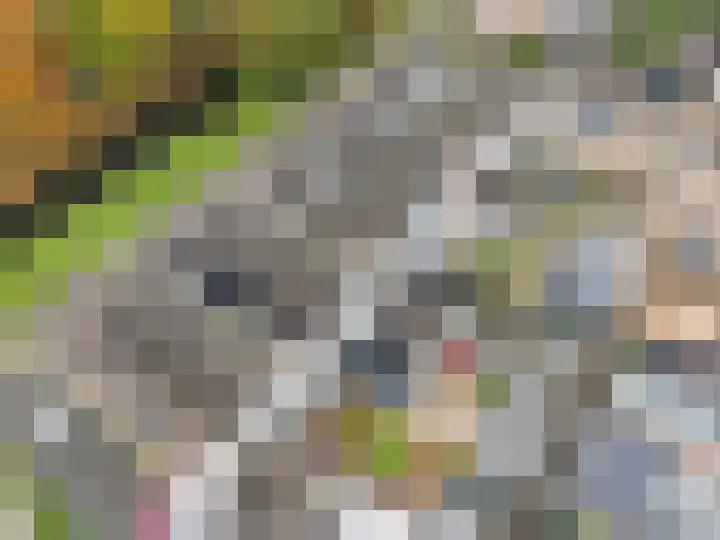 Hallehuis 14 Hardinxveld-Giessendam thumbnail 31